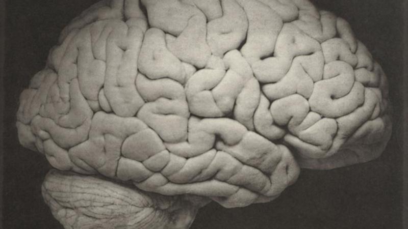 Dying brain may recall key life events