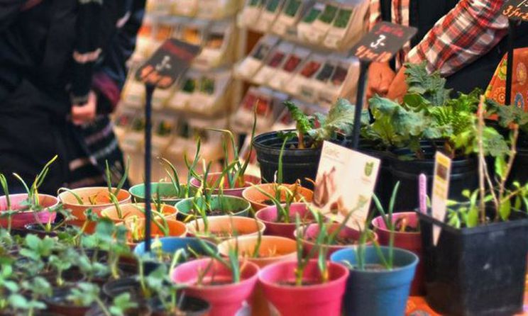 Seedy Saturday events coming to Mississauga and Brampton