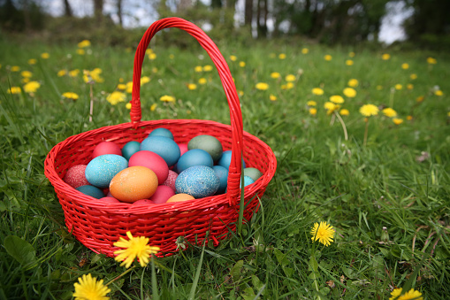 Don’t get caught with an empty basket: Events, activities and ideas to make Easter for family, friends a memorable one