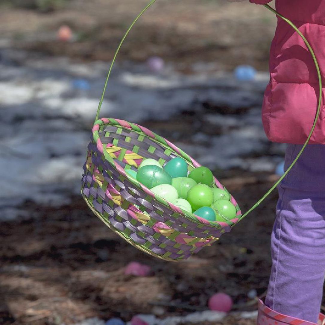 Egg hunts and other Easter events this week in Hamilton