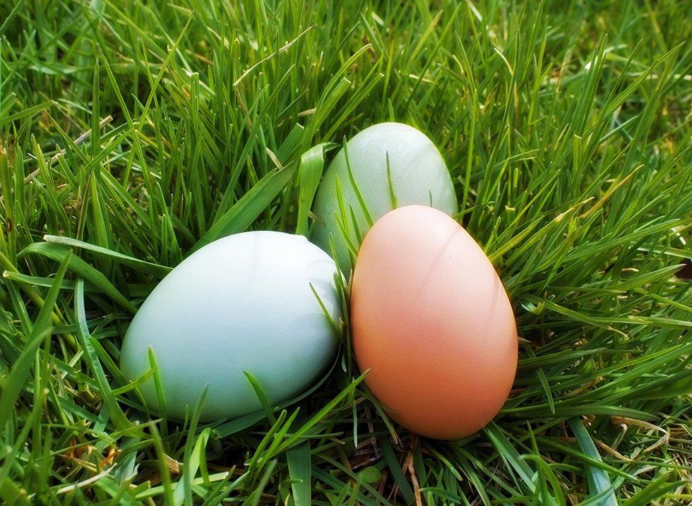 Eastern North Carolina Easter events happening this weekend