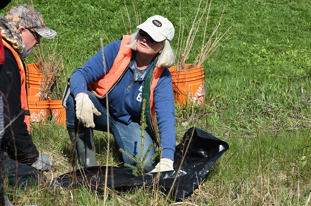 Volunteers needed for community tree-planting events