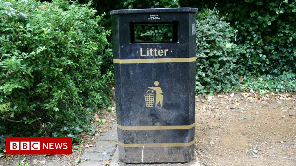 Brent Council insists clean-up events are for community