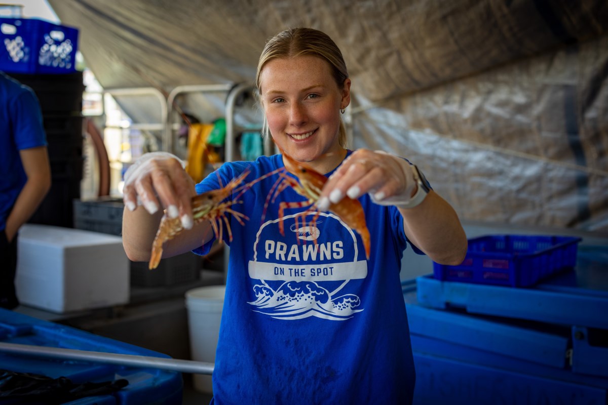 New spot prawn event connects people to Richmond fisher families
