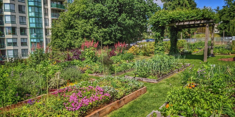 CBS Marks National Garden Day With Variety of Events