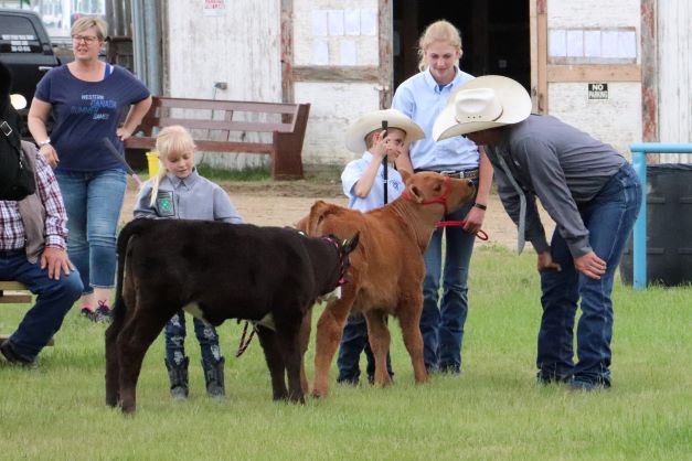 Livestock events a key highlight during Frontier Days