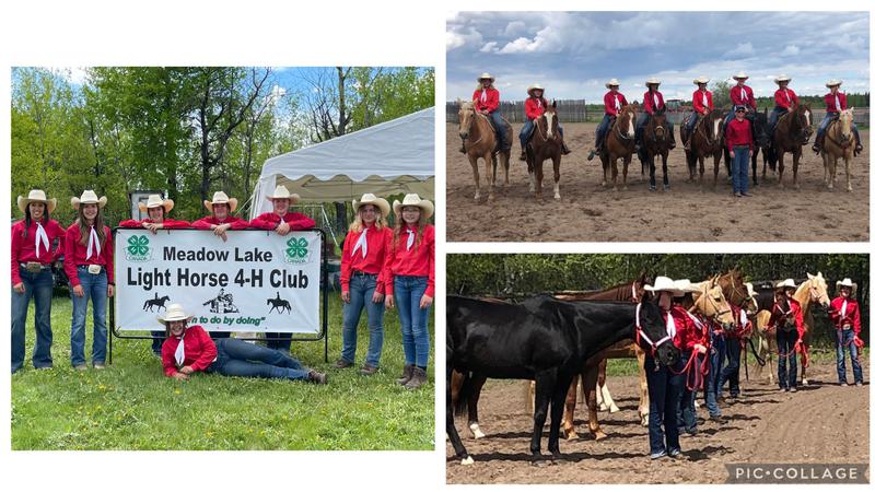 Strong showing at Meadow Lake 4-H Light Horse event